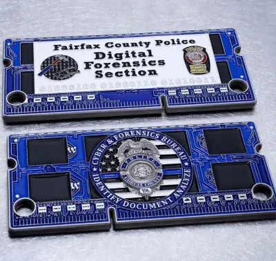 Digital Forensic Section