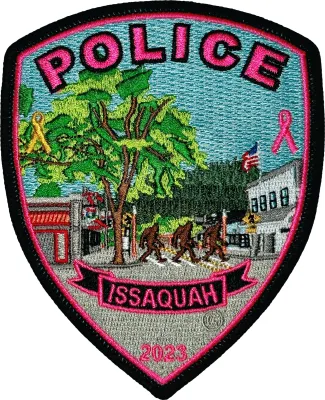 2023 Pink Patch