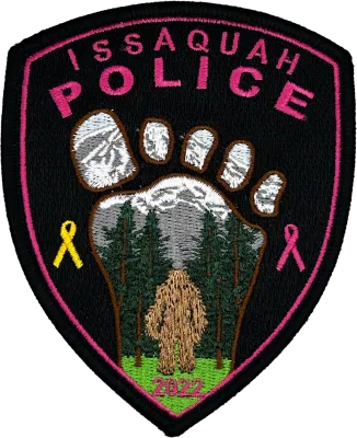 2022 Pink Patch