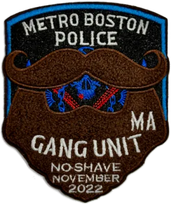 Metro Boston Police Gang Unit
